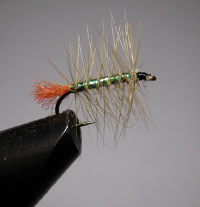 ���� ������ PLM 011 sand - peacock  # 12